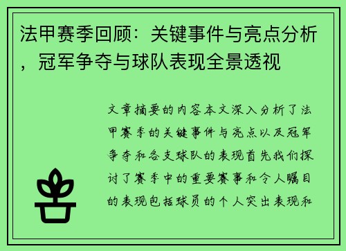 法甲赛季回顾：关键事件与亮点分析，冠军争夺与球队表现全景透视