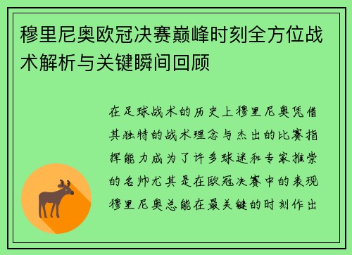 穆里尼奥欧冠决赛巅峰时刻全方位战术解析与关键瞬间回顾