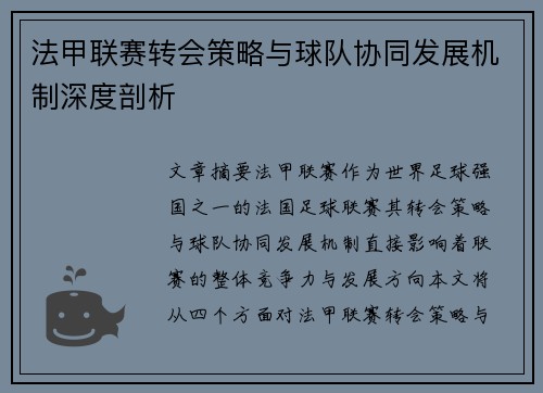 法甲联赛转会策略与球队协同发展机制深度剖析