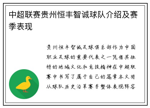 中超联赛贵州恒丰智诚球队介绍及赛季表现