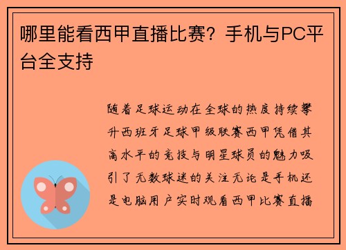 哪里能看西甲直播比赛？手机与PC平台全支持