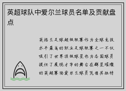 英超球队中爱尔兰球员名单及贡献盘点
